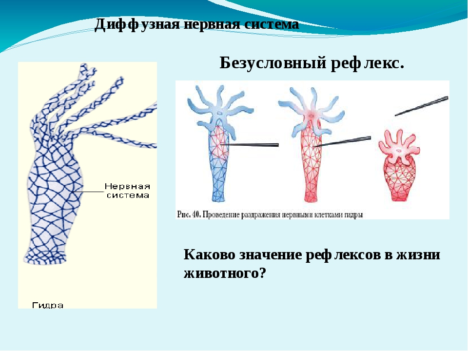 Зеркало kraken тор ссылка рабочее